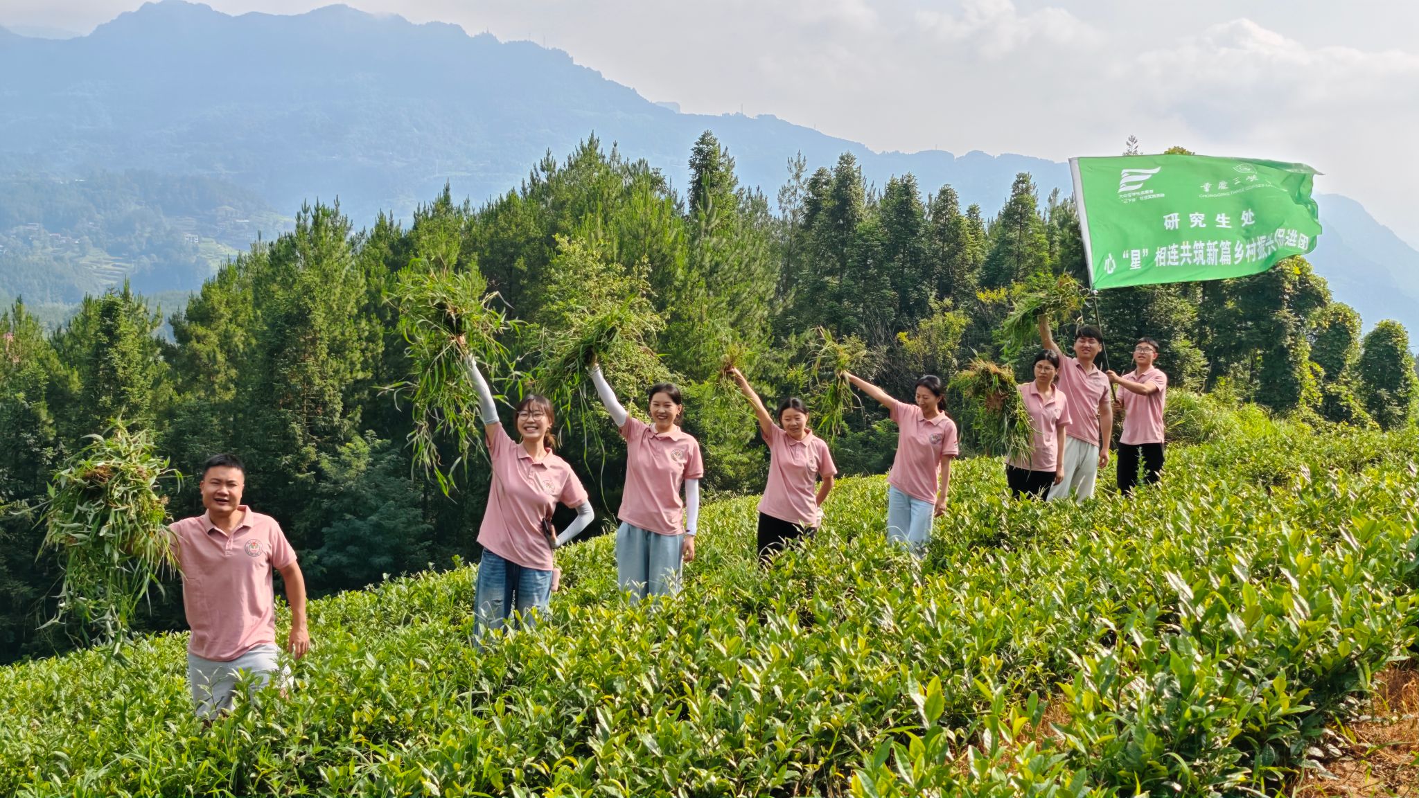 44118太阳成tyc城集团